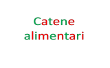 2.21 catene alimentari