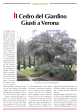 Il Cedro del Giardino Giusti a Verona - Fito