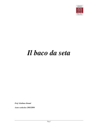 5772_Baco da seta V01 - ARCHIVIO STORICO della città di