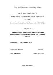 Documento PDF - AMS Tesi di Dottorato