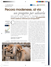 Pecora modenese, al via un progetto per salvarla