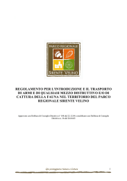 regolamento per l`introduzione e il trasporto di armi e di qualsiasi