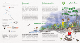 volantino pdf