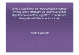 Paolo Candotti - Gruppo Veterinario Suinicolo Mantovano