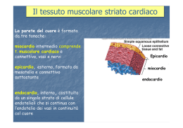 Muscolare cardiaco e liscio [modalità compatibilità]