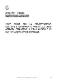 Linee Guida Attività di Cava _definitive per CTVIA_