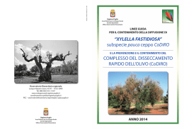 XYLELLA FASTIDIOSA
