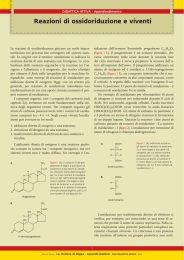 Reazioni di ossidoriduzione e viventi