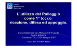 Presentazione PowerPoint