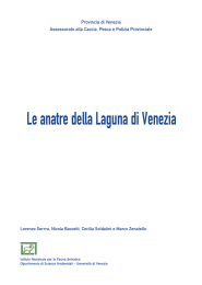 Le anatre della Laguna di Venezia - INFS