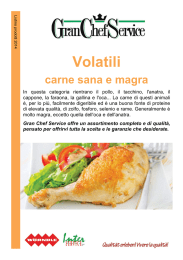 Volatili - Woerndle