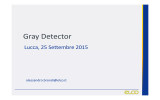 Gray Detector