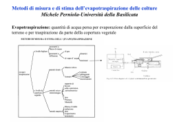 Metodi di misura e di stima dell`evapotraspirazione delle colture