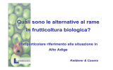 Quali sono le alternative al rame in frutticoltura biologica? Quali