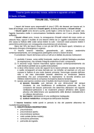 Trauma (parte seconda): torace, addome e apparato - E