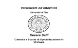 Varicocele e infertilità - Urologia di Pisa