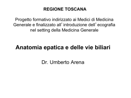 Anatomia epatica e delle vie biliari