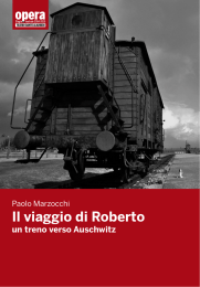 Il viaggio di Roberto
