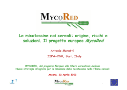 Le micotossine nei cereali: origine, rischi e soluzioni. Il progetto