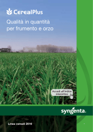 Soluzioni Syngenta per frumento e orzo