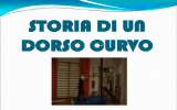 LA GINNASTICA NEL DORSO CURVO