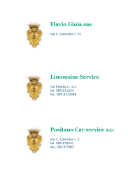 Flavio Gioia sas Limousine Service Positano Car service s.c.