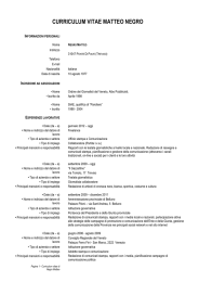 curriculum vitae matteo negro