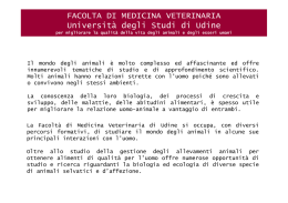 Cosa offre la Facolt&agrave; di Medicina Veterinaria
