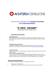 il volo - volando - Aviatoria Consulting