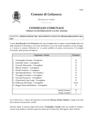 Del. C.C. 14-2016 APPROVAZIONE DUP