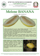 Melone BANANA