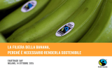 LA FILIERA DELLA BANANA, PERCHЙ И NECESSARIO