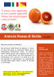Arancia Rossa di Sic - Sapori di Sicilia » arance rosse di sicilia