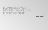 ecommerce service provider: un modello di business vincente