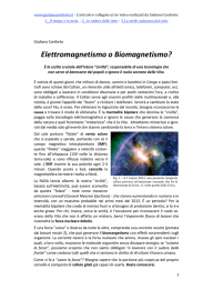 Elettromagnetismo o Biomagnetismo?