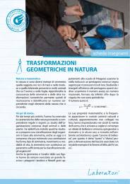 Trasformazioni geometriche in natura