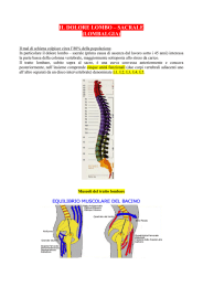 il dolore lombo – sacrale (lombalgia)