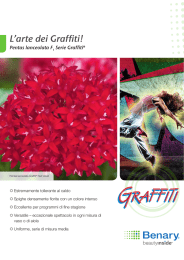 L`arte dei Graffiti!