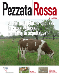 anche nella murgia pugliese la Pezzata Rossa mantiene le