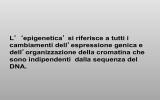 L` `epigenetica` si riferisce a tutti i cambiamenti dell`espressione