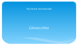 Ginocchio - Nuova Scuola di Osteopatia Treviso