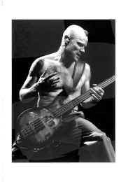 Flea - Mario Guarini