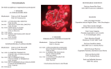 Programma fronte