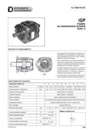 POMPE AD INGRANAGGI INTERNI 12 100/110 ID