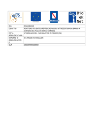 reattore per sintesi peptidica