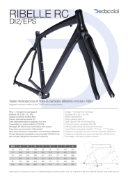 ribelle rc - dedacciai