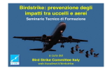 Bird Strike Committee Italy