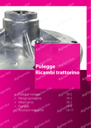 Pulegge Ricambi trattorino