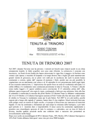 TENUTA DI TRINORO 2007