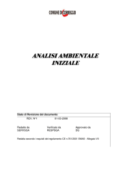 Analisi ambientale iniziale